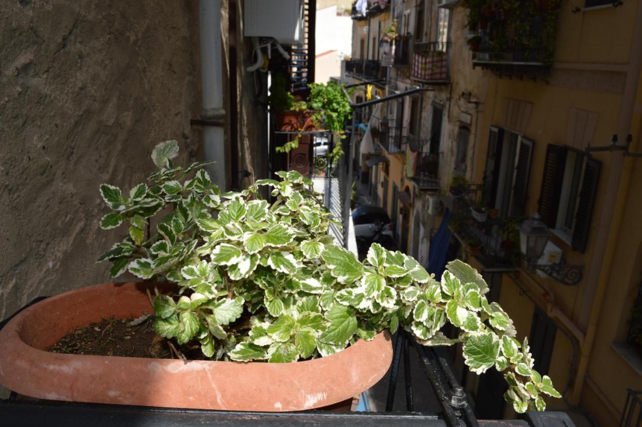 Futtitinni Home Casamia Παλέρμο Εξωτερικό φωτογραφία